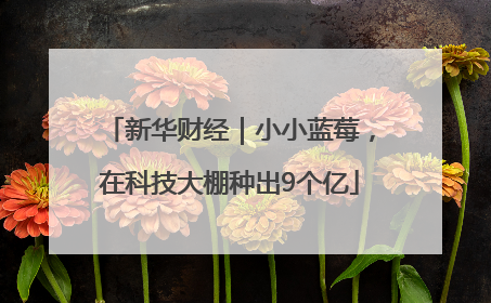 新华财经｜小小蓝莓，在科技大棚种出9个亿
