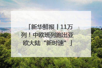 新华鲜报丨11万列！中欧班列跑出亚欧大陆“新时速”