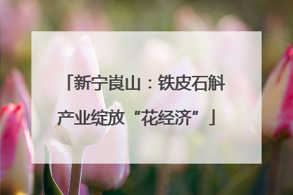 新宁崀山：铁皮石斛产业绽放“花经济”