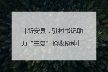 新安县：驻村书记助力“三夏”抢收抢种