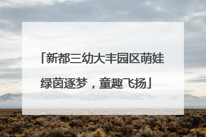 新都三幼大丰园区萌娃绿茵逐梦，童趣飞扬