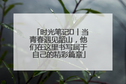 时光笔记⑪丨当青春遇见韶山，他们在这里书写属于自己的精彩篇章