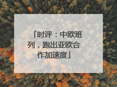 时评：中欧班列，跑出亚欧合作加速度