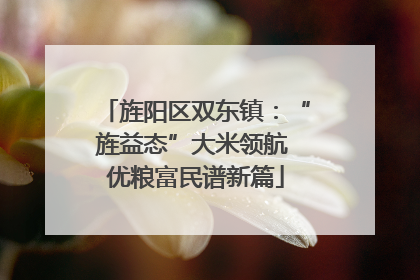 旌阳区双东镇：“旌益态”大米领航 优粮富民谱新篇