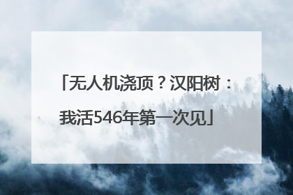 无人机浇顶？汉阳树：我活546年第一次见
