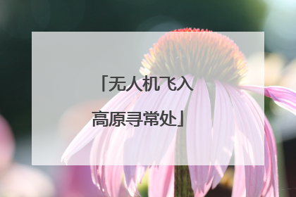 无人机飞入高原寻常处