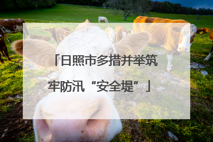 日照市多措并举筑牢防汛“安全堤”