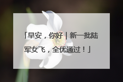早安，你好｜新一批陆军女飞，全优通过！