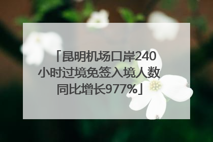 昆明机场口岸240小时过境免签入境人数同比增长977%