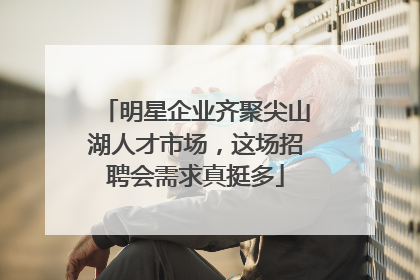 明星企业齐聚尖山湖人才市场，这场招聘会需求真挺多