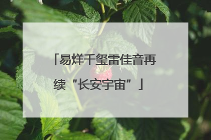 易烊千玺雷佳音再续“长安宇宙”