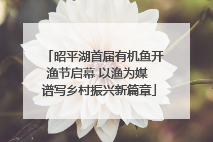 昭平湖首届有机鱼开渔节启幕 以渔为媒 谱写乡村振兴新篇章