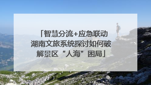 智慧分流+应急联动 湖南文旅系统探讨如何破解景区“人海”困局