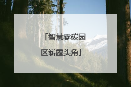 智慧零碳园区崭露头角