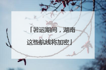 暑运期间，湖南这些航线将加密
