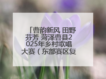 曹韵新风 田野芬芳 菏泽曹县2025年乡村歌唱大赛（东部赛区复赛）举办