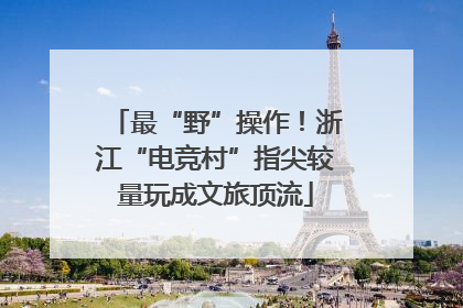 最“野”操作！浙江“电竞村”指尖较量玩成文旅顶流