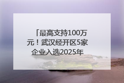 最高支持100万元！武汉经开区5家企业入选2025年度武汉市重点研发计划拟立项项目名单