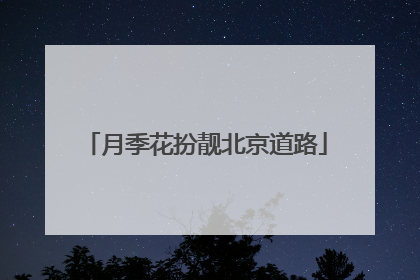 月季花扮靓北京道路