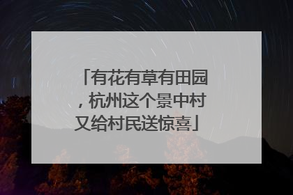 有花有草有田园，杭州这个景中村又给村民送惊喜