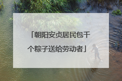 朝阳安贞居民包千个粽子送给劳动者