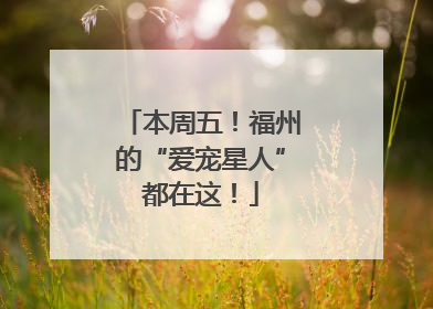 本周五！福州的“爱宠星人”都在这！
