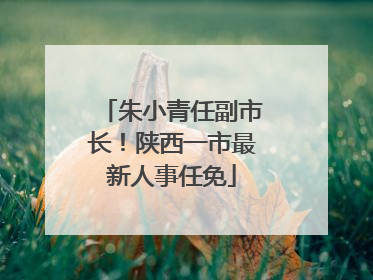 朱小青任副市长！陕西一市最新人事任免