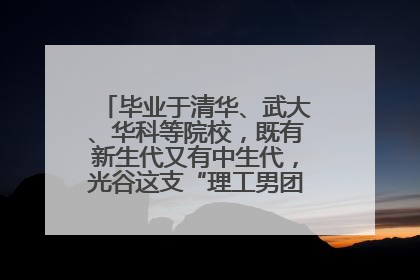 毕业于清华、武大、华科等院校，既有新生代又有中生代，光谷这支“理工男团”为何“出道”？
