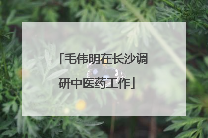 毛伟明在长沙调研中医药工作