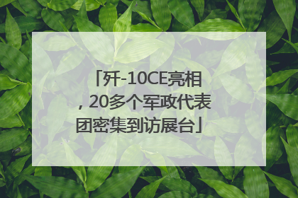 歼-10CE亮相，20多个军政代表团密集到访展台