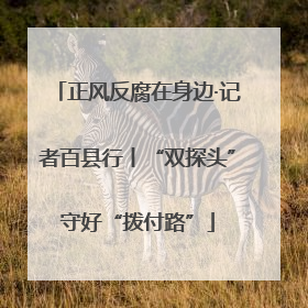 正风反腐在身边·记者百县行丨“双探头”守好“拨付路”
