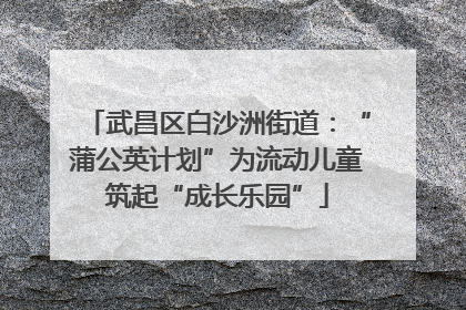 武昌区白沙洲街道：“蒲公英计划”为流动儿童筑起“成长乐园”