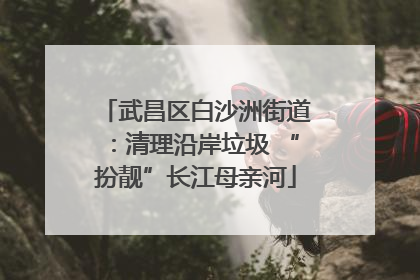 武昌区白沙洲街道：清理沿岸垃圾 “扮靓”长江母亲河