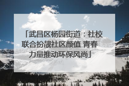 武昌区杨园街道：社校联合扮靓社区颜值 青春力量推动环保风尚