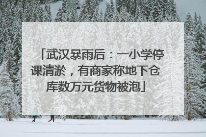 武汉暴雨后：一小学停课清淤，有商家称地下仓库数万元货物被泡