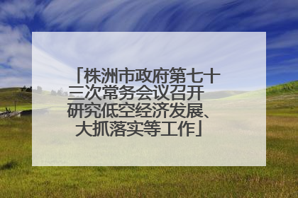 株洲市政府第七十三次常务会议召开 研究低空经济发展、大抓落实等工作