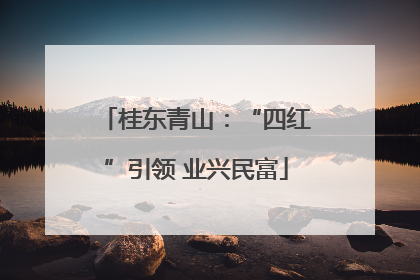桂东青山：“四红”引领 业兴民富