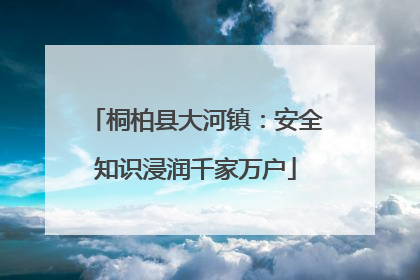 桐柏县大河镇：安全知识浸润千家万户