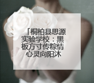 桐柏县思源实验学校：黑板方寸传粽情 心灵向阳沐古风