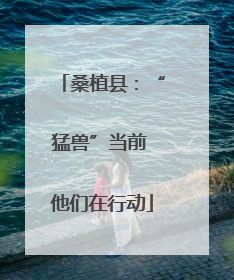 桑植县：“猛兽”当前 他们在行动