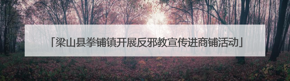 梁山县拳铺镇开展反邪教宣传进商铺活动