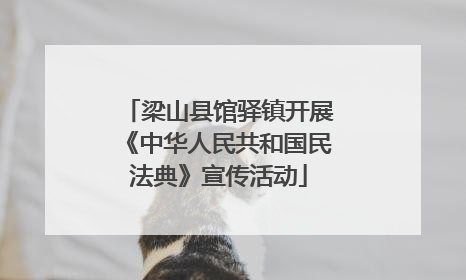 梁山县馆驿镇开展《中华人民共和国民法典》宣传活动