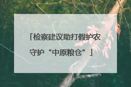检察建议助打假护农守护“中原粮仓”