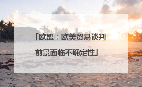 欧盟：欧美贸易谈判前景面临不确定性