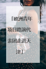 欧洲青年项目路演代表团走进天津