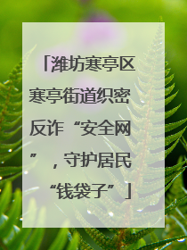 潍坊寒亭区寒亭街道织密反诈“安全网”，守护居民“钱袋子”