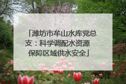 潍坊市牟山水库党总支：科学调配水资源 保障区域供水安全