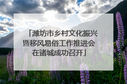 潍坊市乡村文化振兴暨移风易俗工作推进会在诸城成功召开