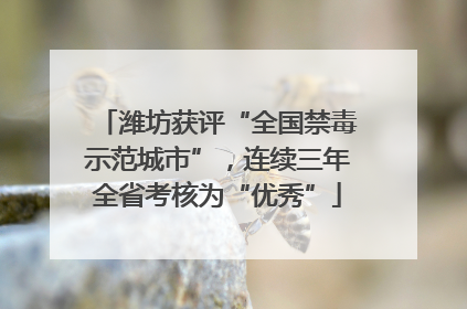 潍坊获评“全国禁毒示范城市”，连续三年全省考核为“优秀”