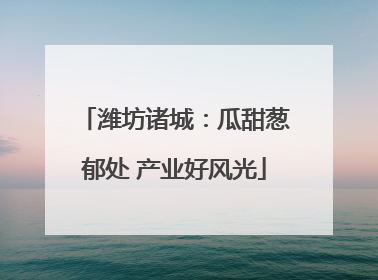 潍坊诸城：瓜甜葱郁处 产业好风光